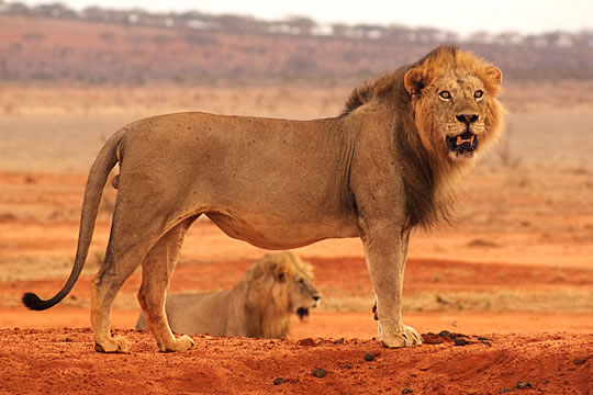 Tsavo East National Park